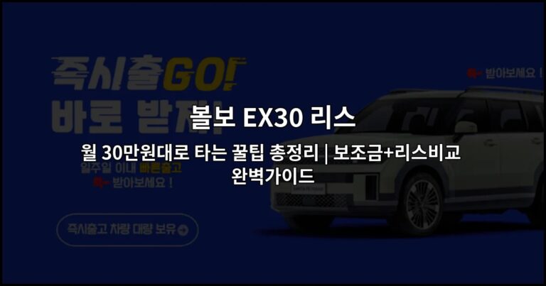 볼보 EX30 리스 월 30만원대로 타는 꿀팁 총정리 | 보조금+리스비교 완벽가이드